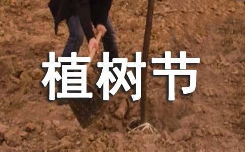 如何制定篮球训练计划以促进球员发展_0